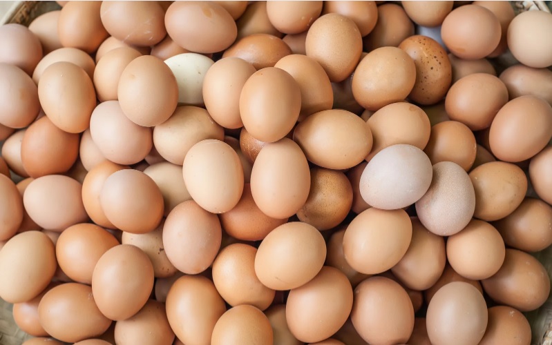 Trứng gà - Thực phẩm giàu biotin - ktfood.vn