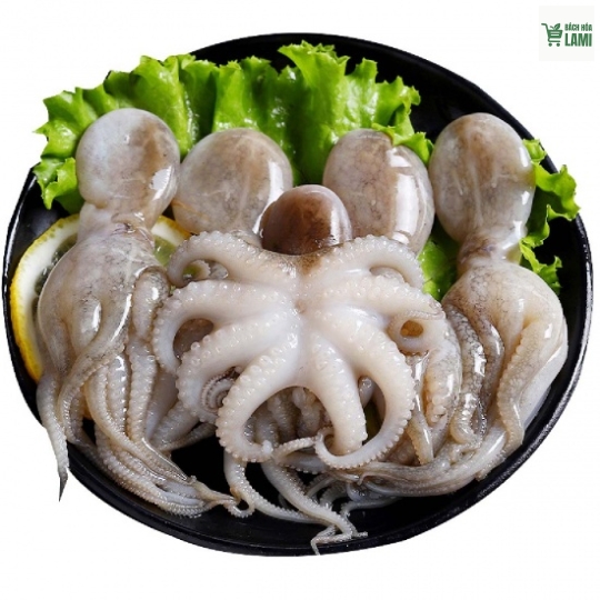 BẠCH TUỘC