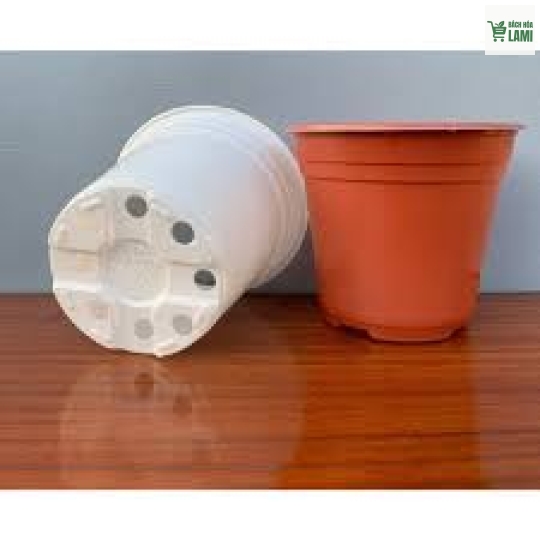 Chậu hoa Ø98 x  PP Sữa