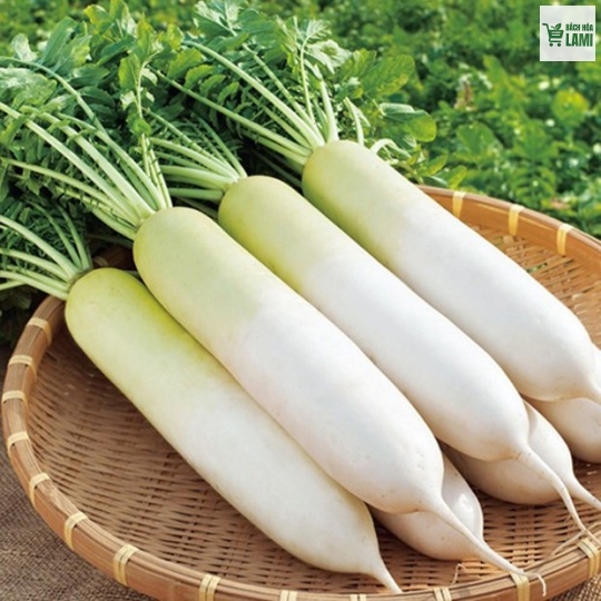  Củ cải trắng - 500gr 