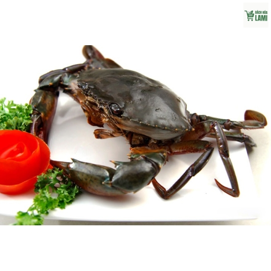 CUA THỊT CÀ MAU