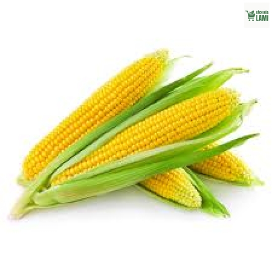 Bắp Mỹ