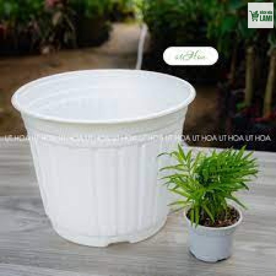 Chậu hoa Ø230 x 160 PP Sữa