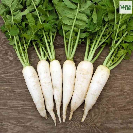  Củ cải trắng - 500gr 