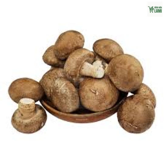 Nấm hương