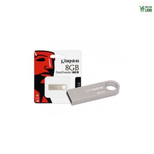 USB Kingston 8G