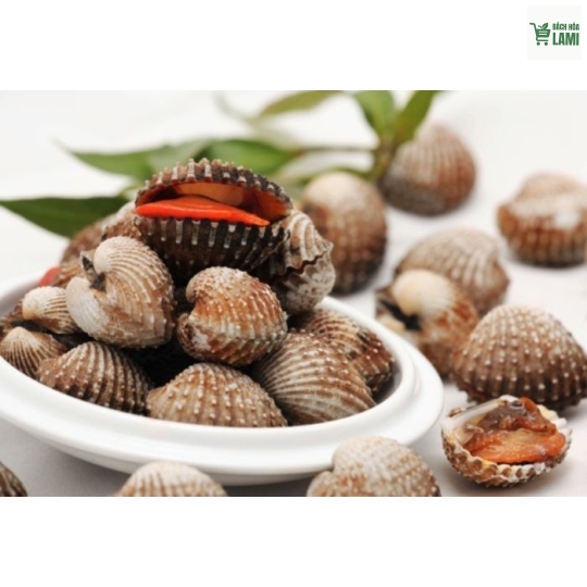 SÒ HUYẾT CỒ