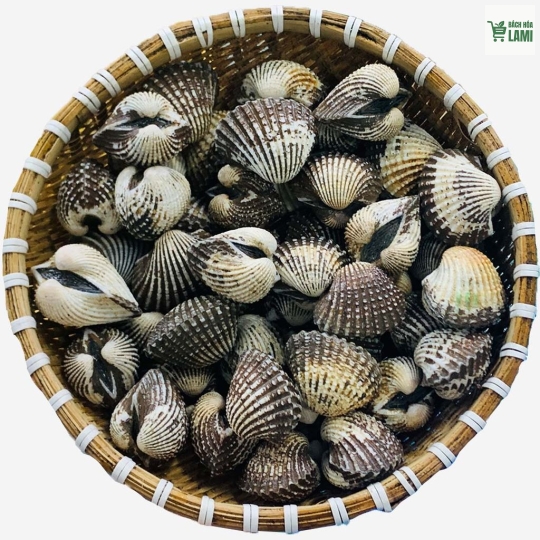 SÒ HUYẾT CỒ