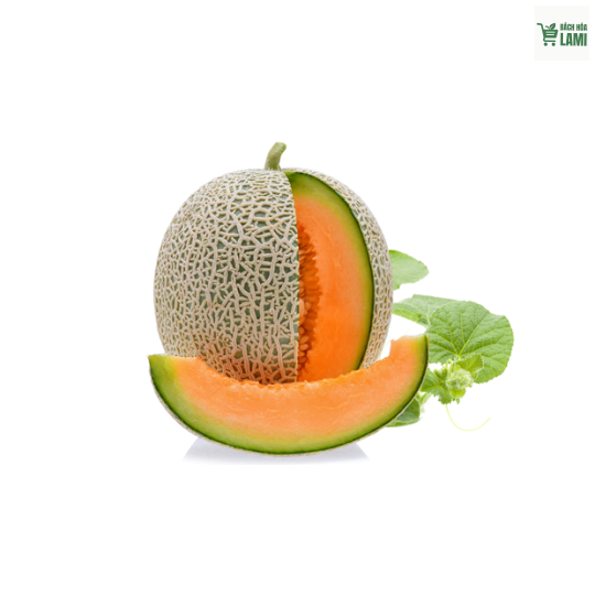 Dưa Lưới Tròn